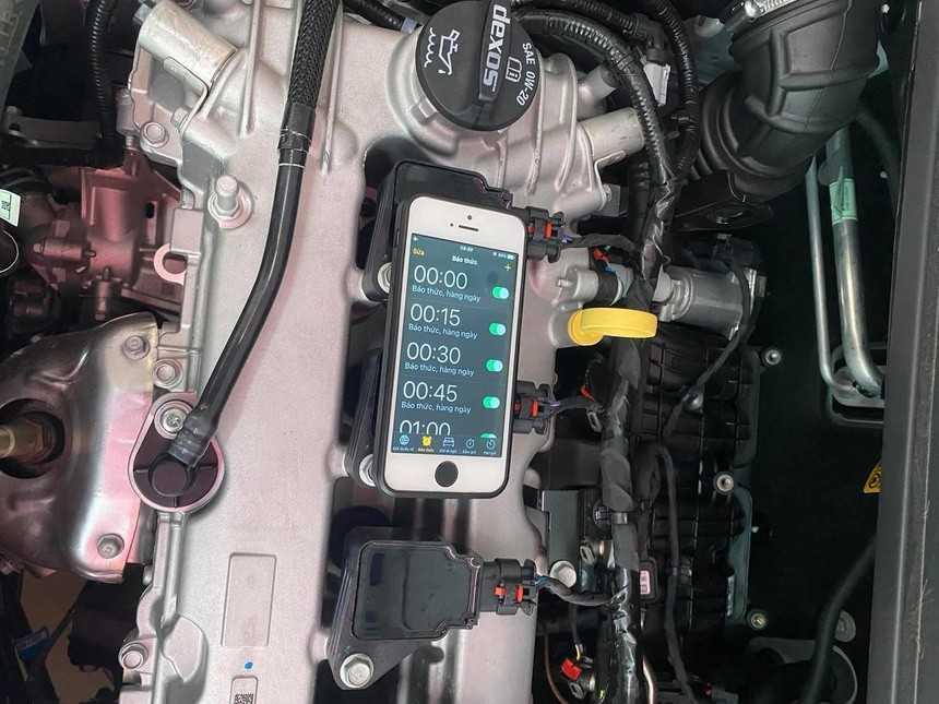 Đặt báo thức tiếng mèo kêu