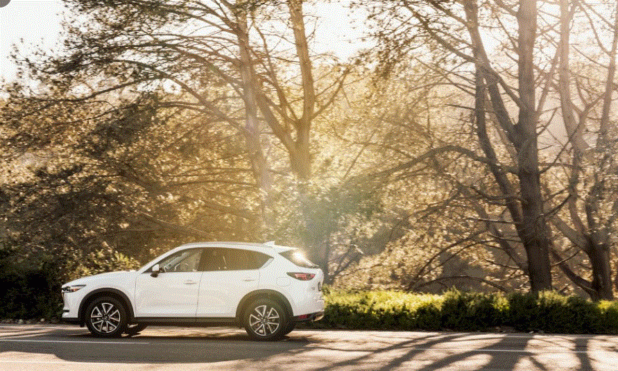 5 chiếc SUV 5 chỗ đã qua sử dụng đáng mua, giá bán dưới 500 triệu đồng-2